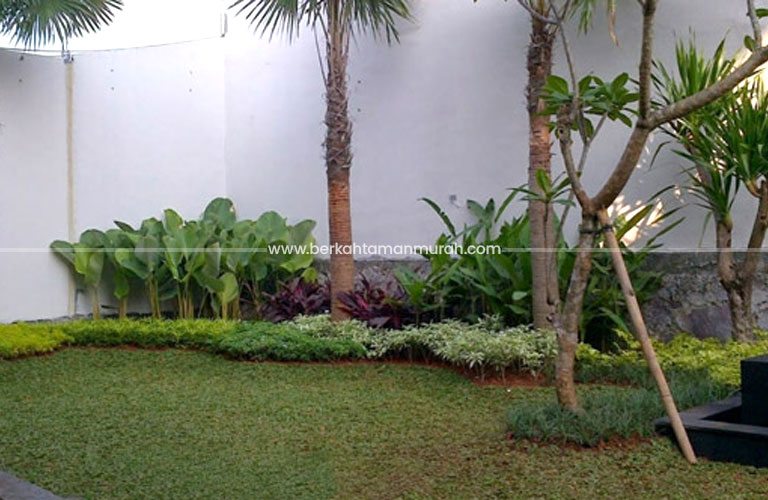 Tukang Taman BSD